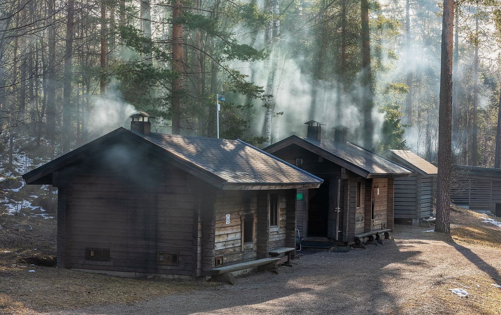 Wooden smoke saunas letting out smoke among pine trees